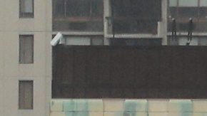 El accidente ocurrió más cerca de Nueva Jersey que de Nueva York, pero autoridades de ambos lados del río apoyan en las labores de rescate.