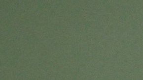 Salma Hayek es una de las famosas que no tiene reparo en lucir natural.