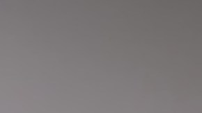 A través de la aplicación también puedes buscar y dar un vistazo a los nuevos productos de Sam's Club.