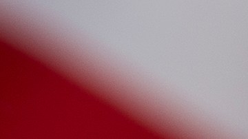 seguro-social-5108-abril-2025