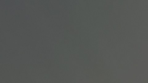 Silhouette,Of,Spiritual,Pigeon,Bird,Flying,Over,The,Sea,With