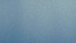 La policía de Bennington, Vermont, se encuentra investigando las acusas de su muerte.