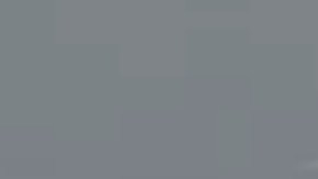 Tarotista venezolana “desapareció” $3,000 dólares a cliente durante un ritual en Miami