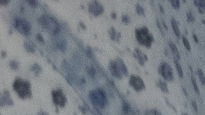 La clínica de abuso de sustancias ofrece terapia individual, familiar y de grupo.