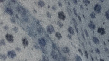 La clínica de abuso de sustancias ofrece terapia individual, familiar y de grupo.