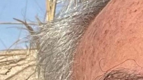 Amenazaron de muerte a Donald Trump: la policía de Florida detuvo al sospechoso