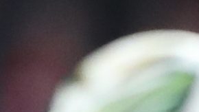 Virgil van Dijk durante el encuentro entre el Liverpool y Newcastle en la final de la EFL Cup.