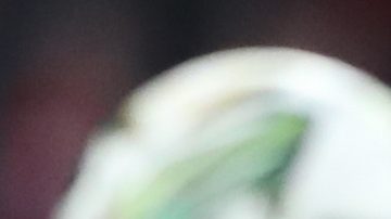 Virgil van Dijk durante el encuentro entre el Liverpool y Newcastle en la final de la EFL Cup.