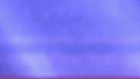 Max Verstappen celebró en el podio de Suzuka.