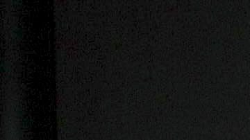 Vica Andrade y Memo del Bosque.