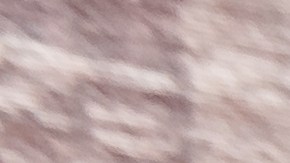 walmart-amazon-politica-de-devolucion