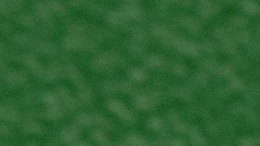 Asegúrate de mantener tu WhatsApp actualizado, pues de esta manera podrás acceder a más funciones de la app.