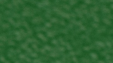 Asegúrate de mantener tu WhatsApp actualizado, pues de esta manera podrás acceder a más funciones de la app.