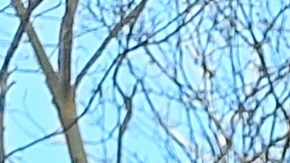 En algunas consultas locales de 2023 y 2024 la abstención ha superado el 95% en algunos circuitos del condado de la salsa.