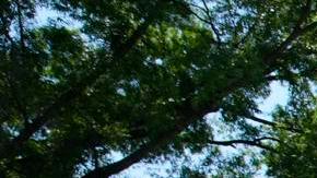 El presidente de Estados Unidos, Donald Trump (C), participa en un evento del Día Nacional de Oración en el Jardín de Rosas de la Casa Blanca en Washington, DC, EE. UU., el 01 de mayo de 2025.