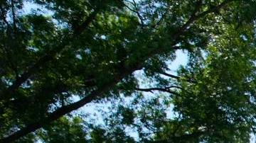 El presidente de Estados Unidos, Donald Trump (C), participa en un evento del Día Nacional de Oración en el Jardín de Rosas de la Casa Blanca en Washington, DC, EE. UU., el 01 de mayo de 2025.