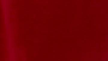 El recién elegido Papa León XIV, el cardenal Robert Francis Prevost de EE.UU., saluda a los fieles desde la logia central de la Basílica de San Pedro, Ciudad del Vaticano, 08 de mayo de 2025.