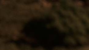 Visita tiendas como Victoria’s Secret, donde podrás encontrar los modelos de esta página, y mídete varios colores  hasta encontrar el que te haga sentir mejor.