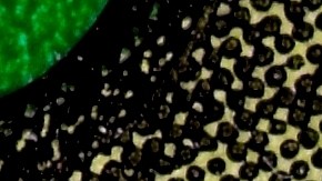 6-millones-raspadito-40-anos-jugando