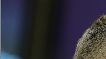 El próximo 15 de mayor podría llevarse a cabo una reunión para negociar el conflicto entre Ucrania y Rusia.