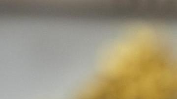 El presidente de Estados Unidos, Donald Trump, asiste a una reunión con el primer ministro canadiense en la Oficina Oval de la Casa Blanca en Washington, DC, EE.UU., 06 de mayo de 2025.