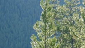 Los ministros de Finanzas del G7 se reunieron en las Montañas Rocosas en Canadá.