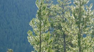 Los ministros de Finanzas del G7 se reunieron en las Montañas Rocosas en Canadá.