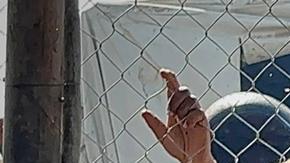 En un caos se convirtió la distribución de ayuda humanitaria en Gaza.