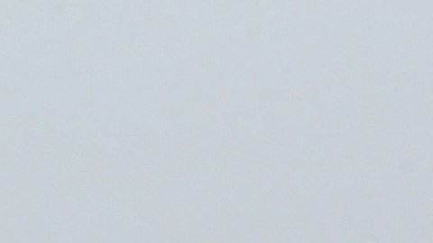 NYPD en Coney Island/Archivo.