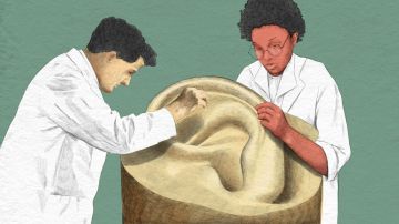 Cerumen