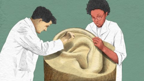 Cerumen