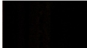 Los cardenales Timothy Dolan, Kevin Farrell y Blase Cupich, votarán para elegir al nuevo Papa.