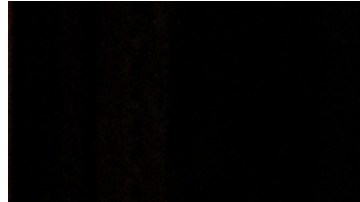 Los cardenales Timothy Dolan, Kevin Farrell y Blase Cupich, votarán para elegir al nuevo Papa.