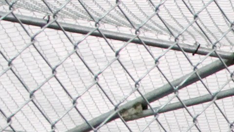 AI entrevistó a 27 inmigrantes detenidos, a líderes de organizaciones legales y humanitarias locales.