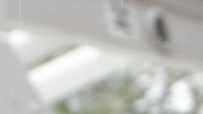 Los activistas de los derechos de los migrantes, no creen que la ley ayude con la seguridad del estado.