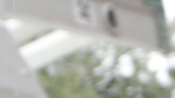 Los activistas de los derechos de los migrantes, no creen que la ley ayude con la seguridad del estado.