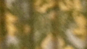 Maduro expresó su confianza en que el acuerdo y cooperación con Moscú.