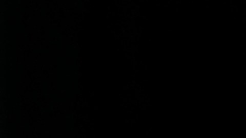 El comparativo de Walz no fue del agrado de DHS.