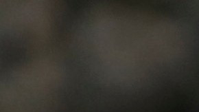 The Daily Mail publicó la semana pasada que el DHS evaluaba un reality show para ganar la ciudadanía estadounidense.