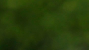 Familia afectada por tormenta en Texas