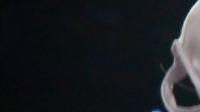 Juan Manuel Márquez celebra tras noquear a Manny Pacquiao en 2012.