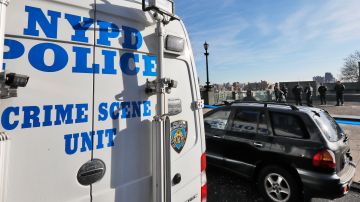 El NYPD anima a cualquier persona que tenga información sobre los menores de edad desaparecidos, deberá comunicarse con la Línea Directa de Crime Stoppers.