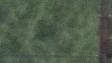 George Floyd murió a manos de la Policía en una intervención