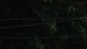 Se conoció que las víctimas eran estudiantes.