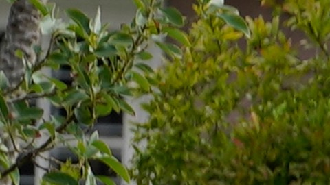 Agentes de ICE arrestan a migrante en California