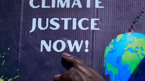 Conferencia climática de la ONU en Egipto