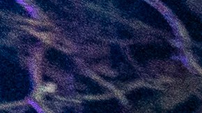 El sospechoso fue acusado de asesinato en segundo grado.