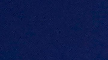 Carlos Vela durante una conferencia por el Media Day de la MLS.