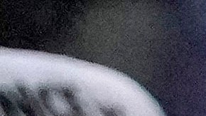 Shakur Stevenson respalda la victoria de Terence Crawford sobre el Canelo Álvarez.