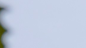 Exterior de la Corte Suprema de EE.UU.